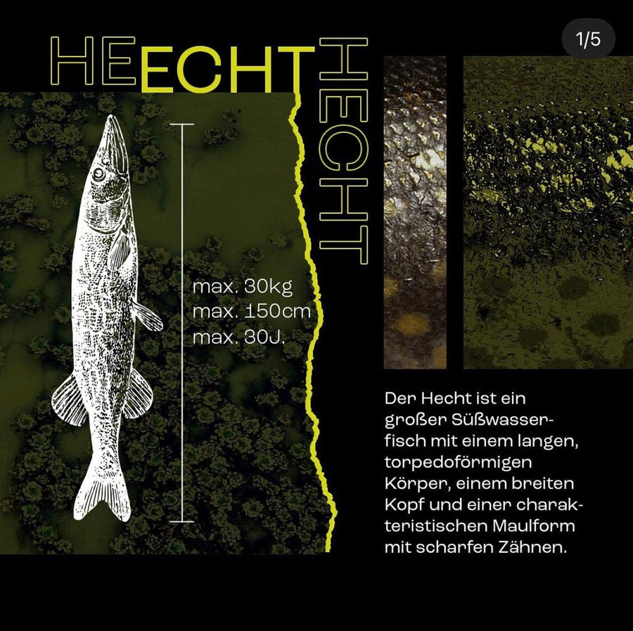 HEISSER HECHT