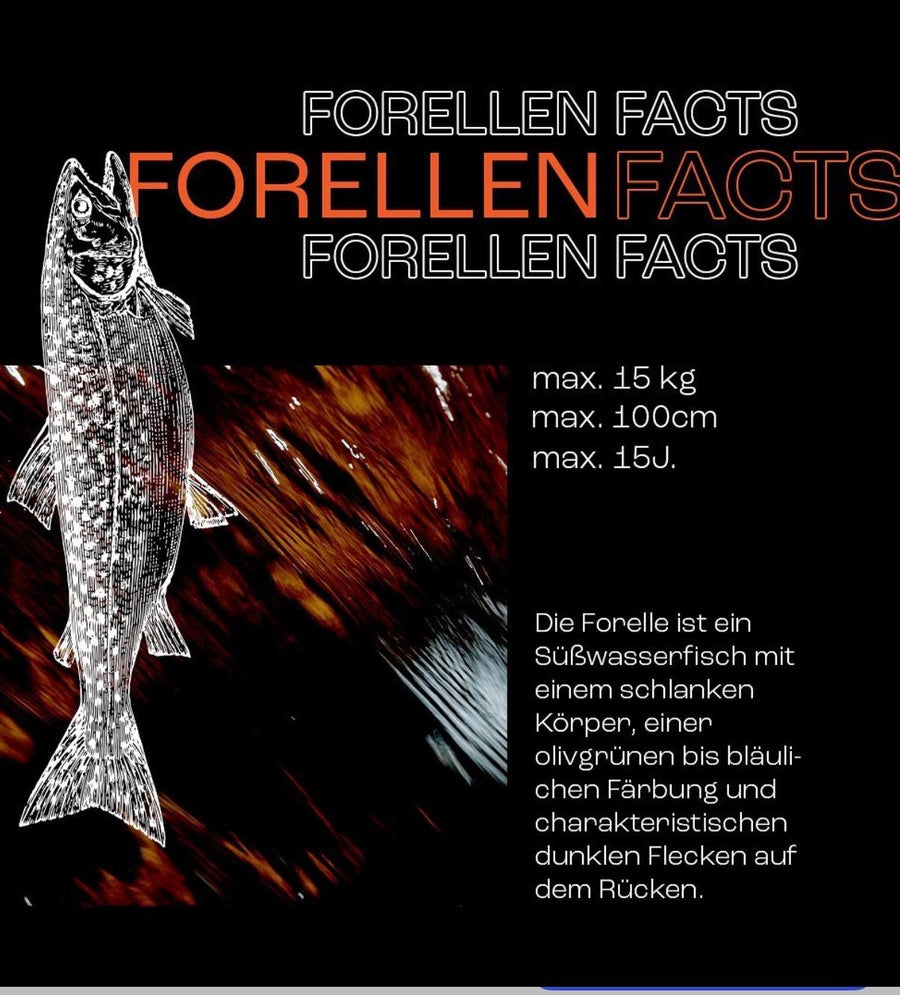 SCHNELLE FORELLE